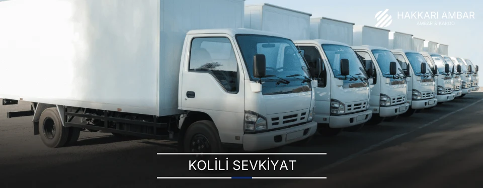Hakkari Kolili Sevkiyat Ambar Firmaları